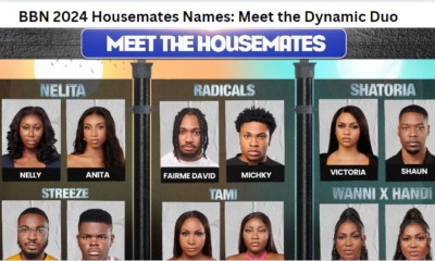 BBN 2024 Housemates Names