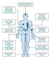 The Ultimate Guide to Conquering Cancer: Breakthrough Treatments and Proven Prevention Strategies for 2024/2025